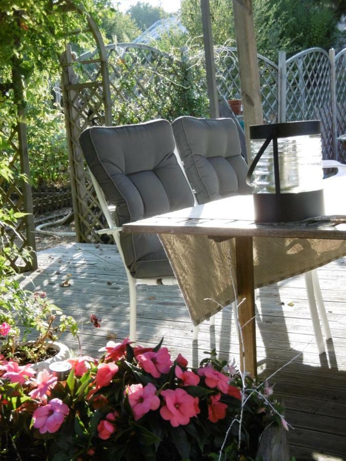 Le Chat Qui Peche B&B Chateauneuf-la-Foret Экстерьер фото