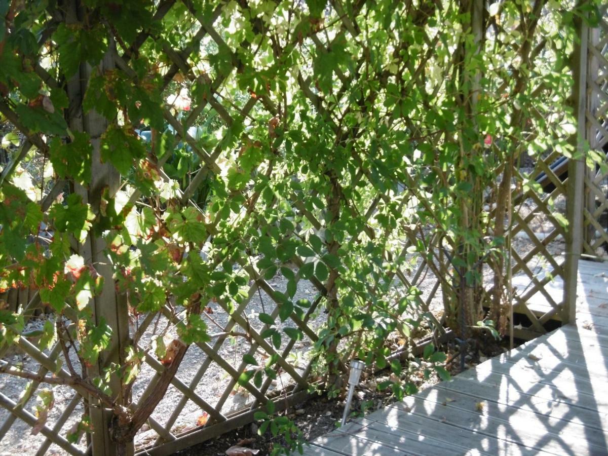 Le Chat Qui Peche B&B Chateauneuf-la-Foret Экстерьер фото
